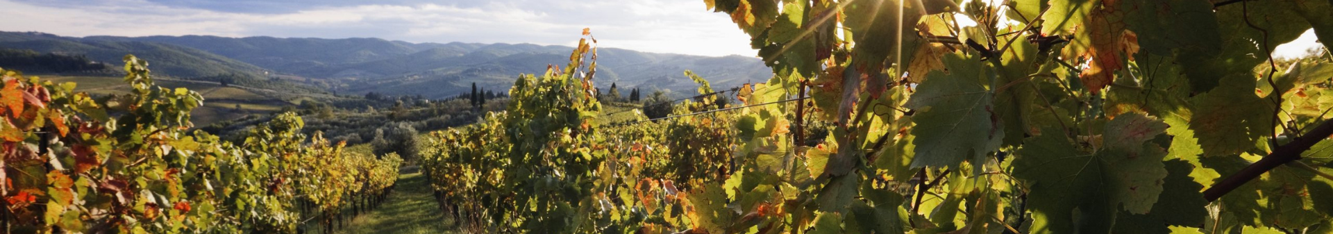 Region Beaujolais