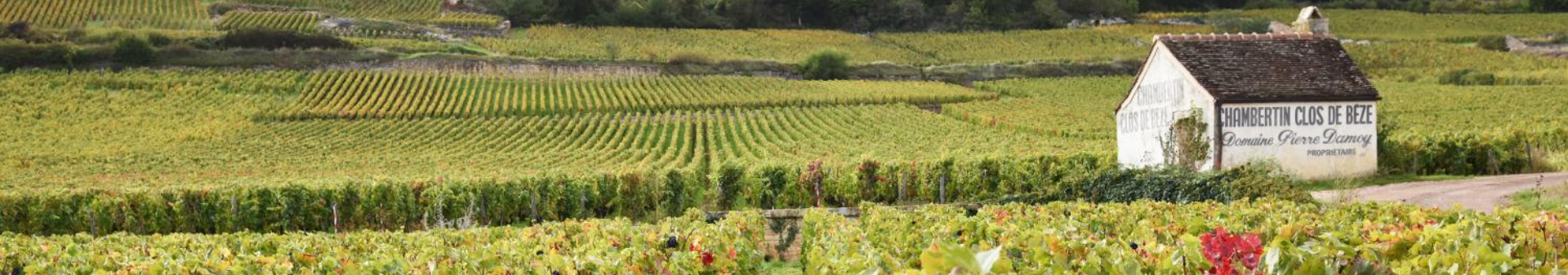 Appellation Chambertin Clos de Bèze