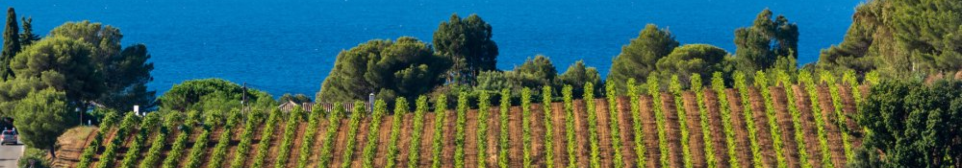 Region Provence