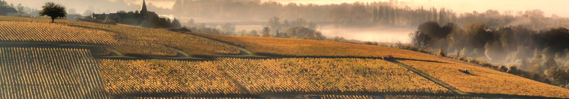 Appellation La Romanée