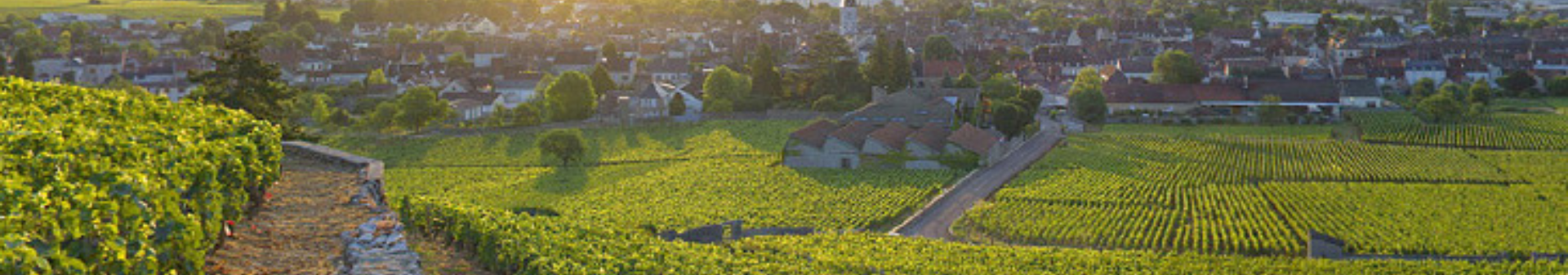Domaine Jean Louis Trapet
