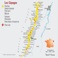 Riesling Appellation Wein