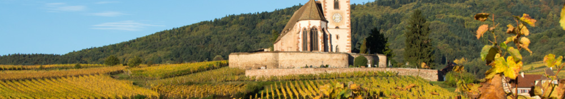 Riesling Appellation Wein