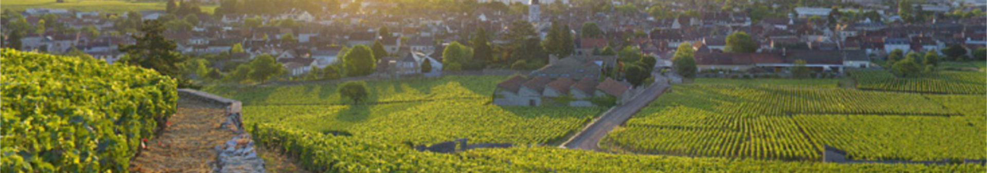 Domaine Jean Louis Trapet Père Et Fils