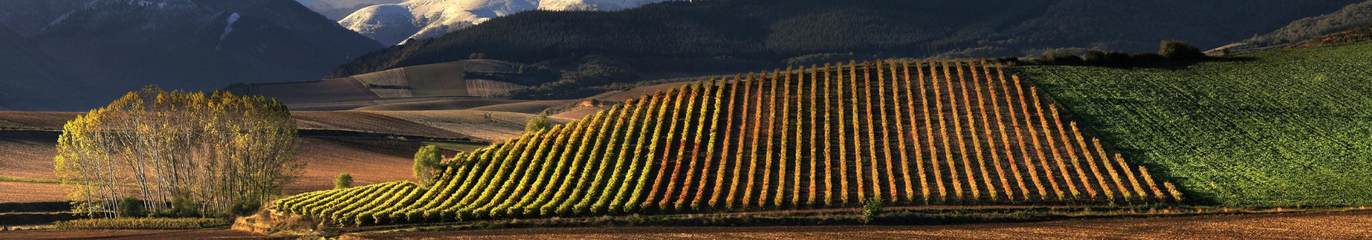 Region Rioja