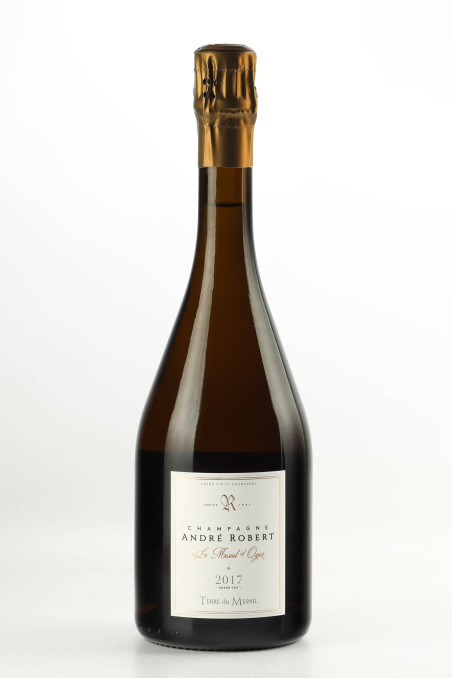 ANDRE ROBERT Terres du Mesnil Blanc de Blancs 2017