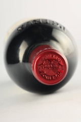 PETRUS 2017