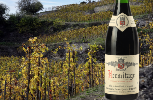 JEAN-LOUIS CHAVE Rotwein 1992