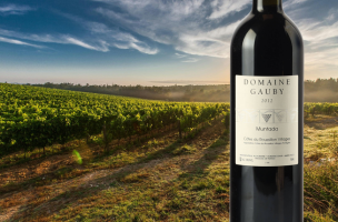 DOMAINE GAUBY Muntada 2012