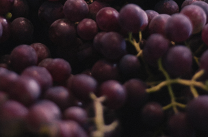 Die großen Gewächse von Bordeaux