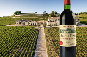 Pavie 1990