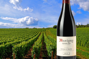 DOMAINE GEORGES ROUMIER 2011
