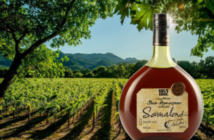 SAMALENS Bas Armagnac 1952