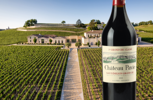 Pavie 2011