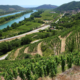 Rhône-Weine von 1999
