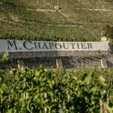 Maison M. Chapoutier, unser Artikel