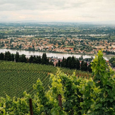 Region Rhône