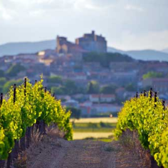 Region Languedoc-Roussillon